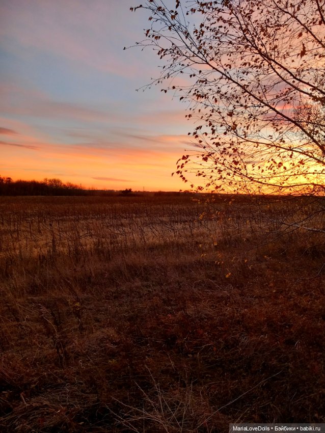 Закат осенний — Куклы Baboliy (Баболи