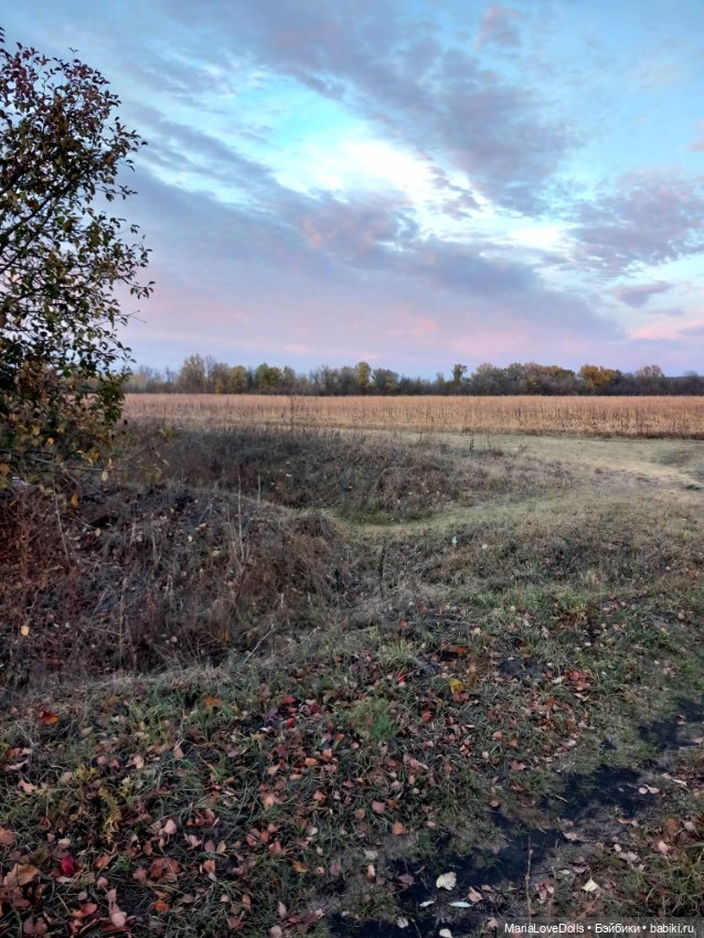 Закат осенний — Куклы Baboliy (Баболи