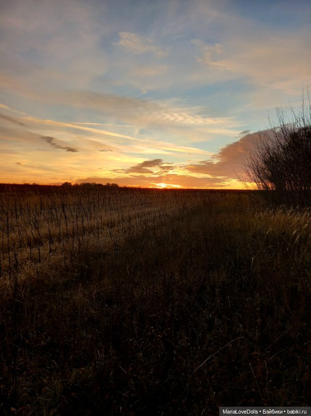 Закат осенний — Куклы Baboliy (Баболи