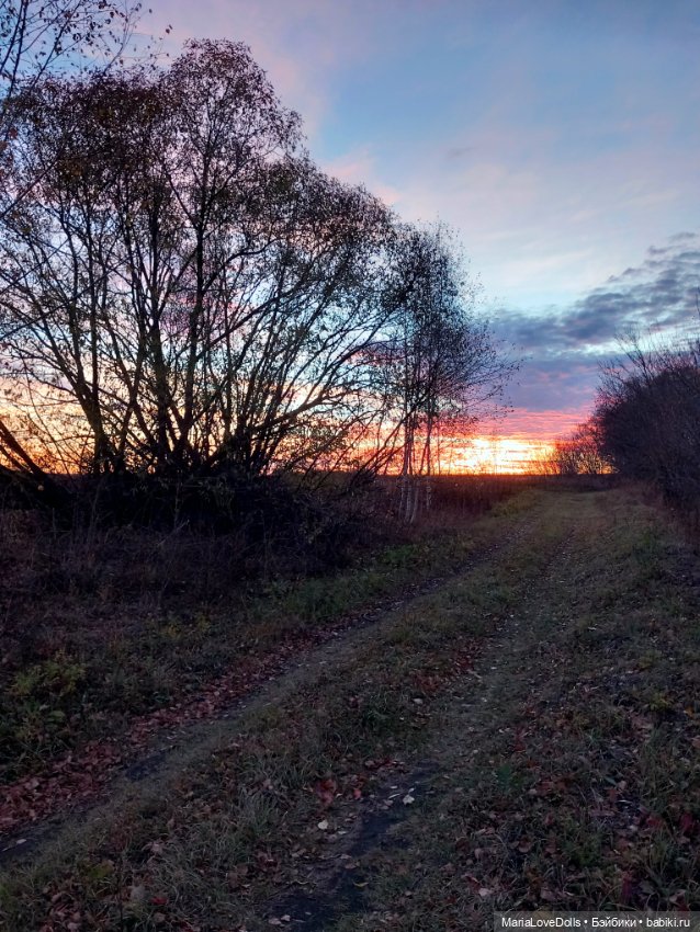 Закат осенний — Куклы Baboliy (Баболи