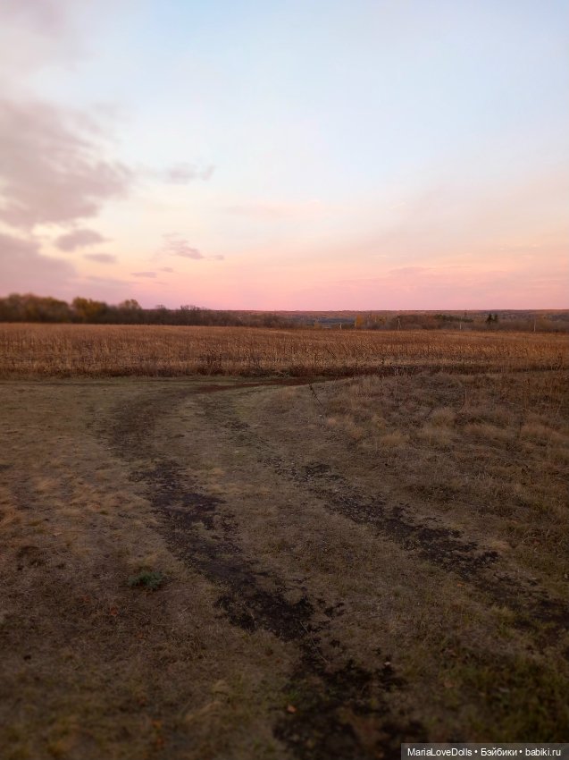 Закат осенний — Куклы Baboliy (Баболи (фото 8)