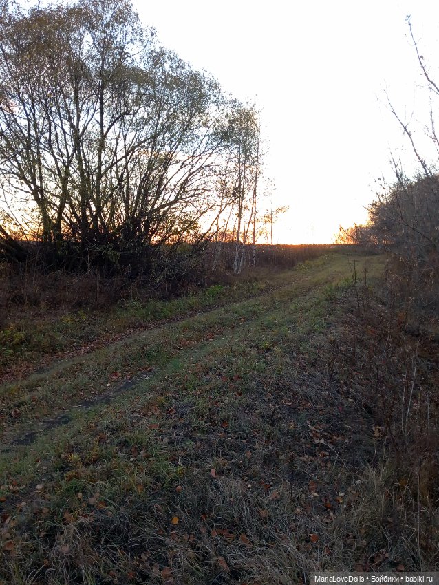 Закат осенний — Куклы Baboliy (Баболи (фото 6)