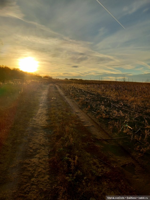 Закат осенний — Куклы Baboliy (Баболи