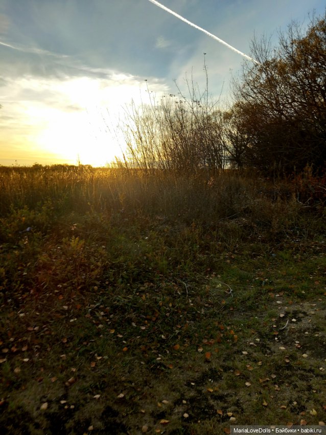 Закат осенний — Куклы Baboliy (Баболи (фото 2)