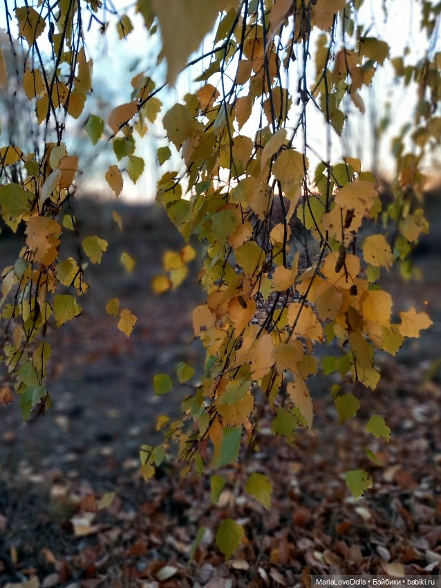 Закат осенний — Куклы Baboliy (Баболи (фото 5)