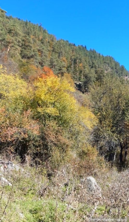 ИЗ ЖИЗНИ КУКОЛ Как они отдыхают (фото 6)