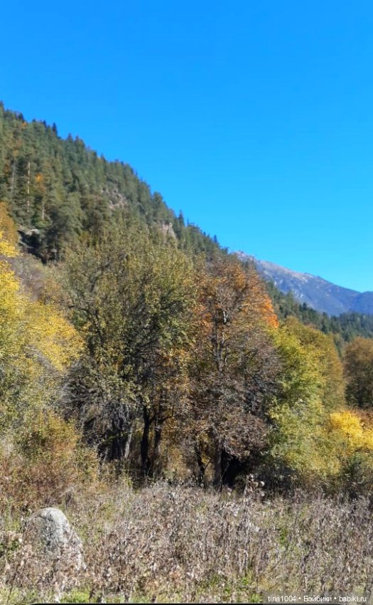 ИЗ ЖИЗНИ КУКОЛ Как они отдыхают (фото 9)