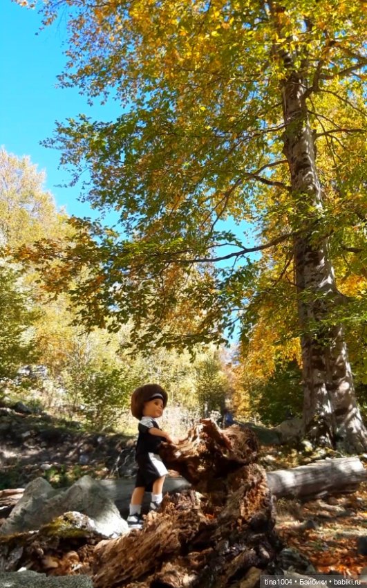 ИЗ ЖИЗНИ КУКОЛ Как они отдыхают (фото 8)