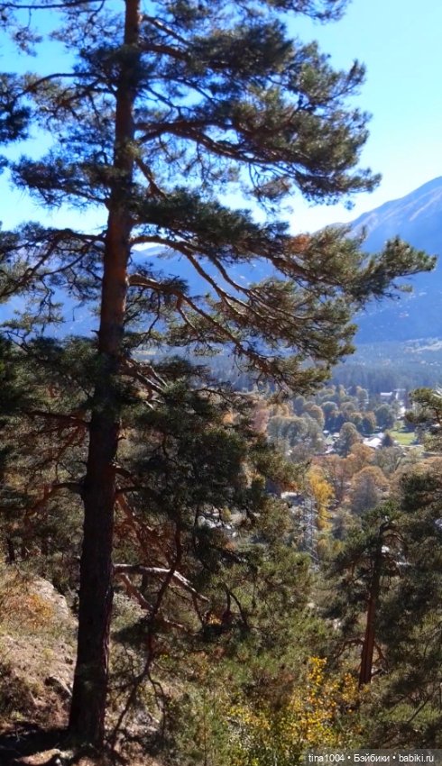 ИЗ ЖИЗНИ КУКОЛ Как они отдыхают