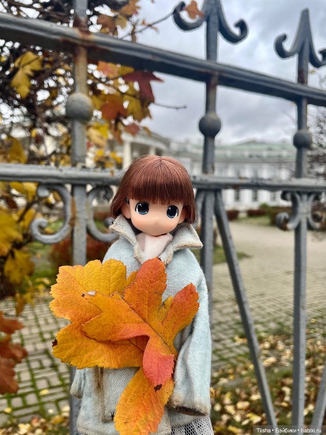 Осенняя Mamachapp — Аниме куклы (MJD/Винил): Imomo