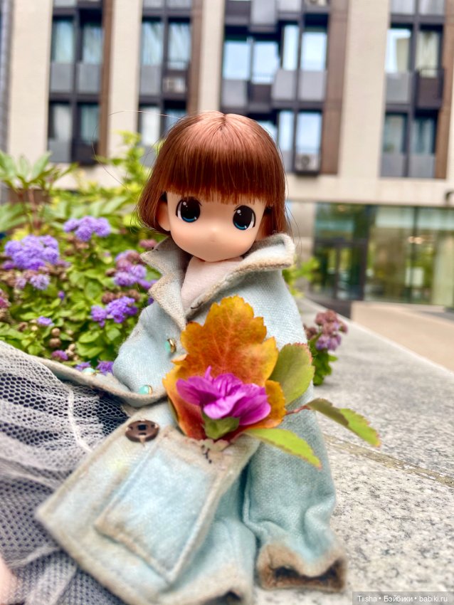 Осенняя Mamachapp — Аниме куклы (MJD/Винил): Imomo (фото 3)