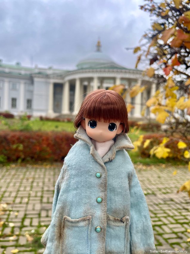 Осенняя Mamachapp — Аниме куклы (MJD/Винил): Imomo