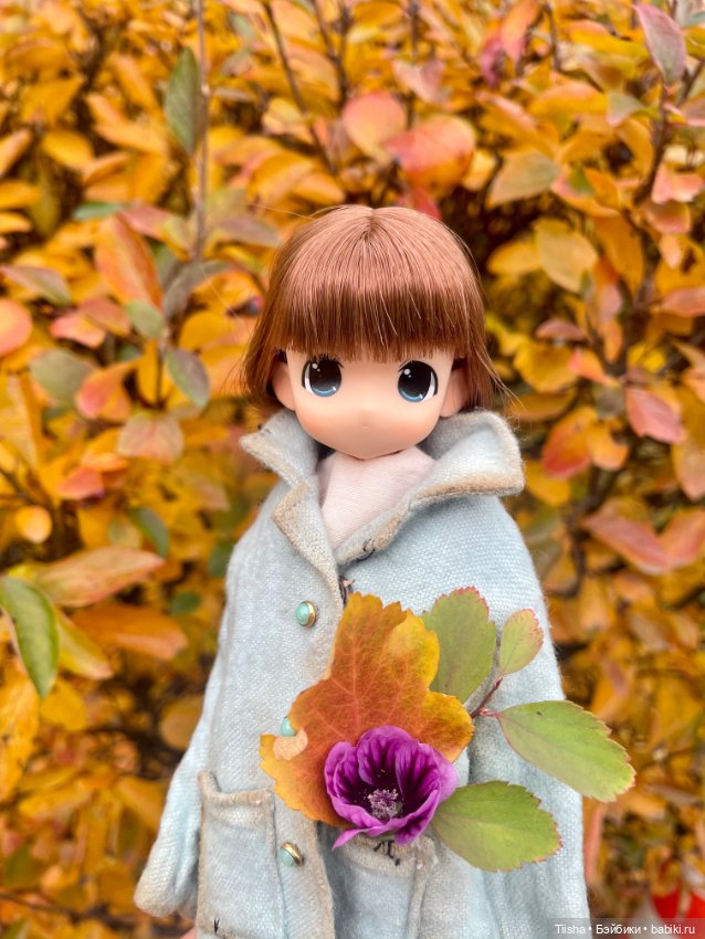 Осенняя Mamachapp — Аниме куклы (MJD/Винил): Imomo (фото 6)