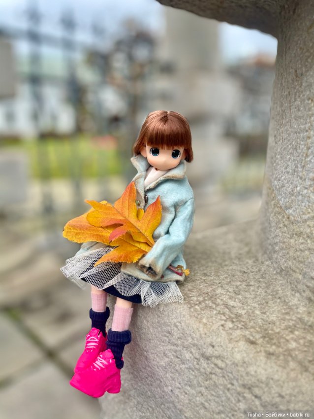Осенняя Mamachapp — Аниме куклы (MJD/Винил): Imomo (фото 10)