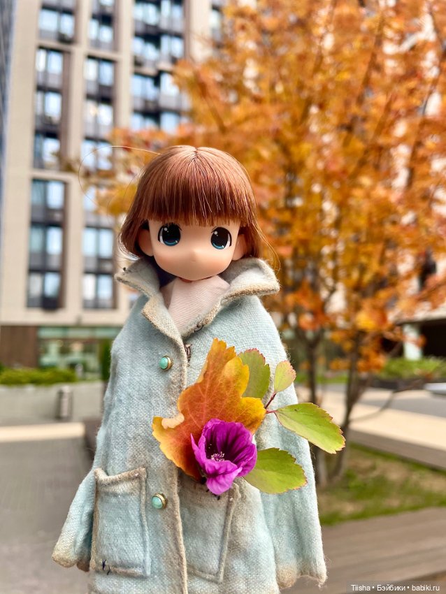 Осенняя Mamachapp — Аниме куклы (MJD/Винил): Imomo (фото 4)