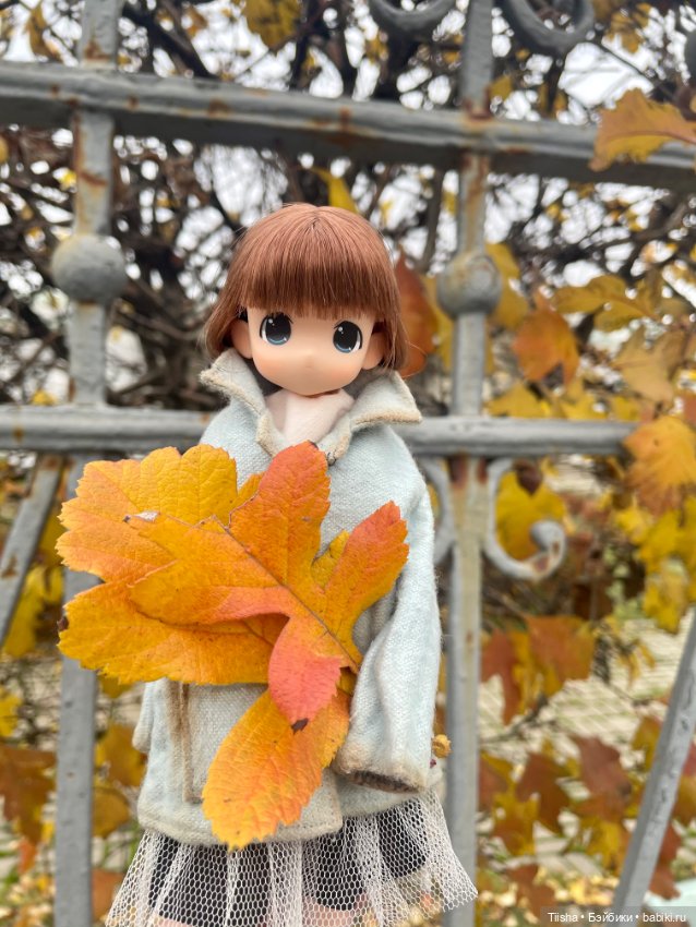 Осенняя Mamachapp — Аниме куклы (MJD/Винил): Imomo