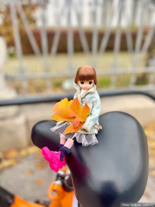 Осенняя Mamachapp — Аниме куклы (MJD/Винил): Imomo (фото 9)
