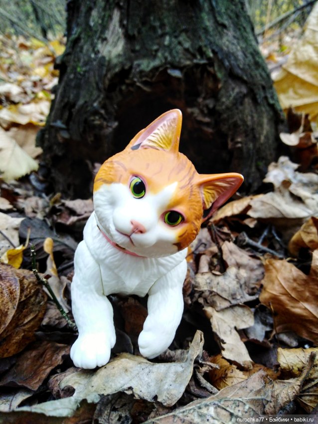 Про Нафочку. Лесные тайны. Эпизод 1