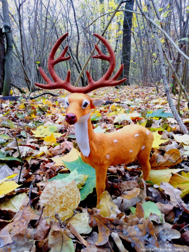 Про Нафочку. Лесные тайны. Эпизод 1