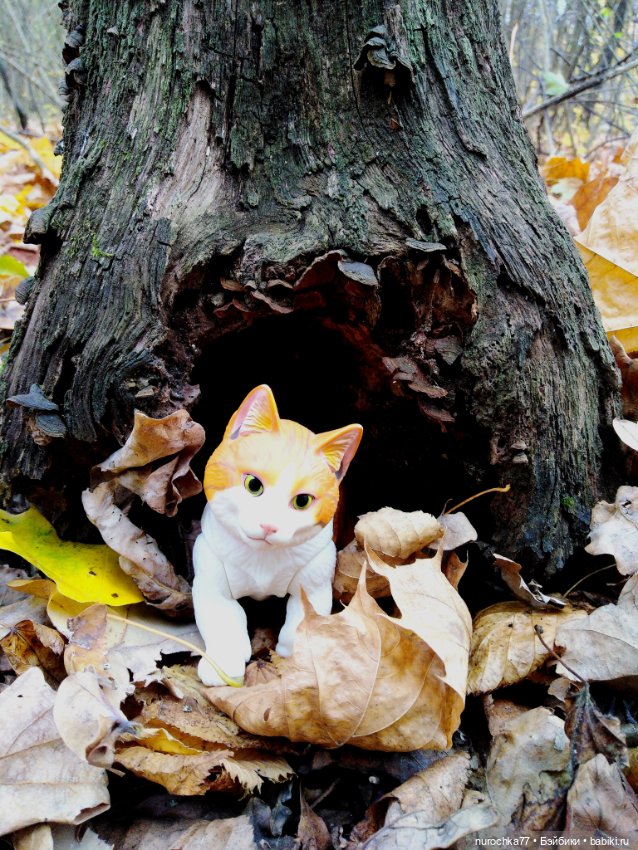 Про Нафочку. Лесные тайны. Эпизод 1