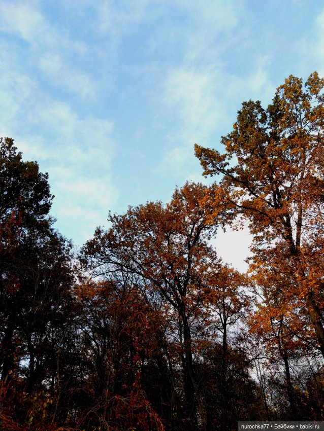 Про Нафочку. Лесные тайны. Эпизод 1