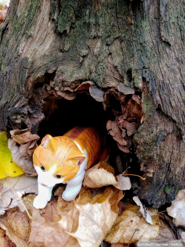 Про Нафочку. Лесные тайны. Эпизод 1