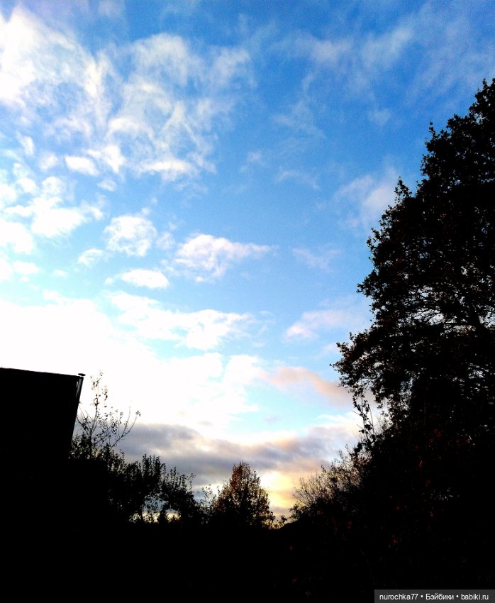 Про Нафочку. Лесные тайны. Эпизод 1