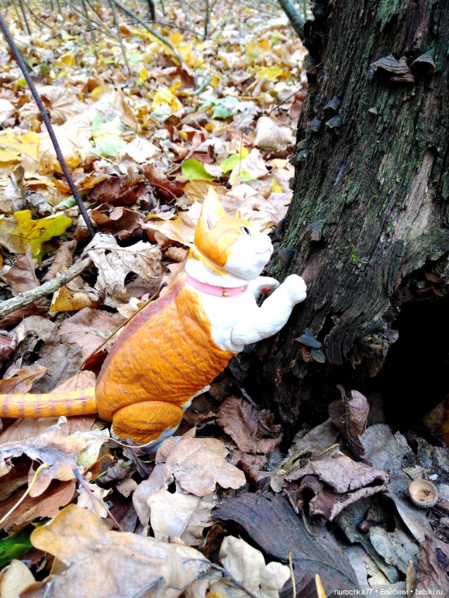 Про Нафочку. Лесные тайны. Эпизод 1