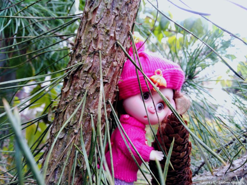 Про Нафочку. Лесные тайны. Эпизод 1