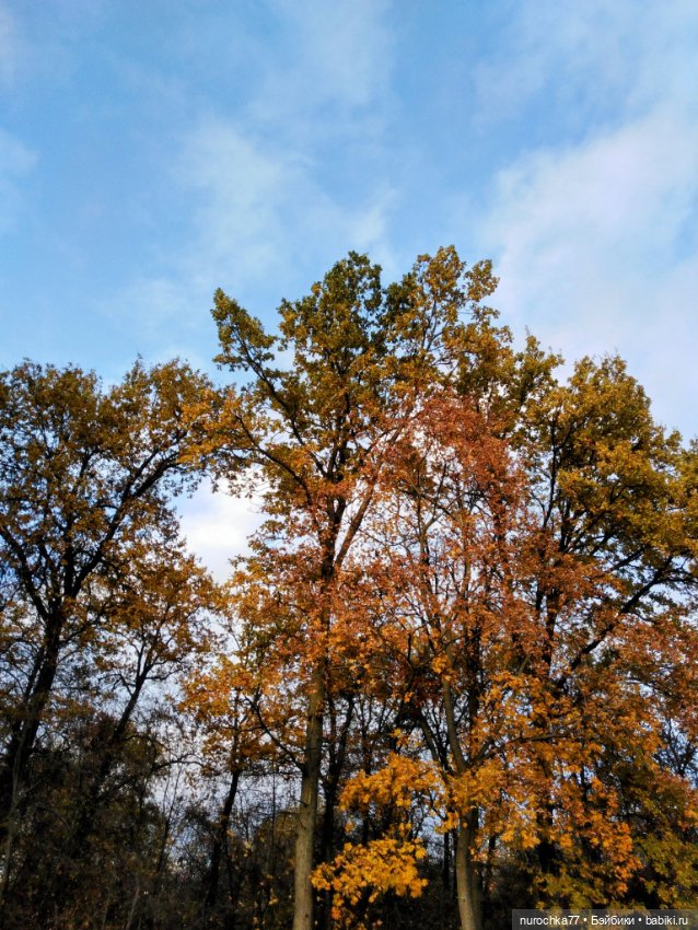 Про Нафочку. Лесные тайны. Эпизод 1 (фото 8)