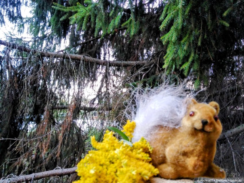 Про Нафочку. Лесные тайны. Эпизод 1 (фото 9)