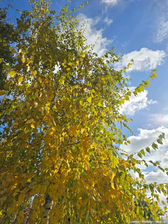 Сама себе удивляюсь порой