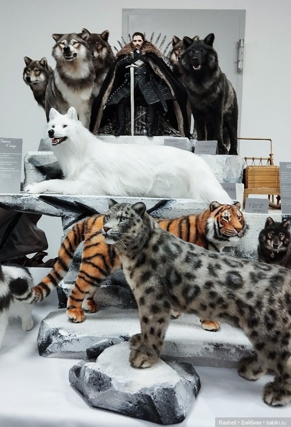 Лето 2024 с Гердочкой. Часть 2 Мск