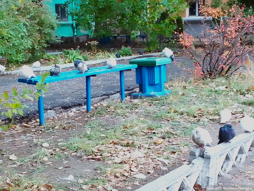 Иренкина осень или ДВА разных дня