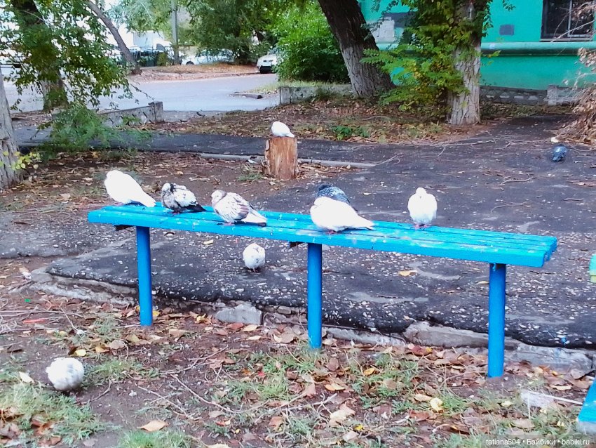 Иренкина осень или ДВА разных дня