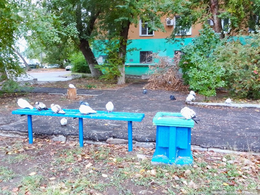 Иренкина осень или ДВА разных дня