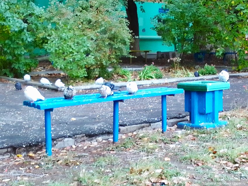 Иренкина осень или ДВА разных дня