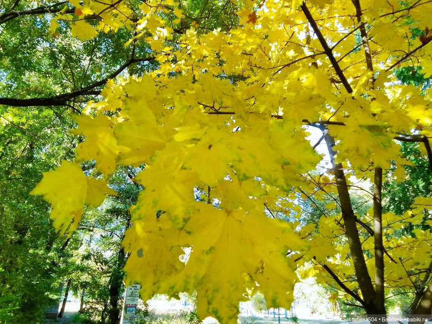 Иренкина осень - день второй