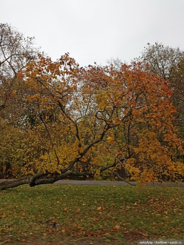 Марфуша — Игровые куклы разных производителей (Разное): редкие бренды