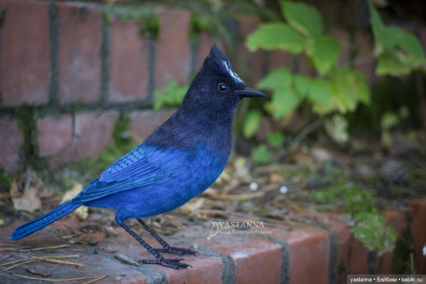 Синяя птица — Валяные игрушки из шерсти: сухое валяние