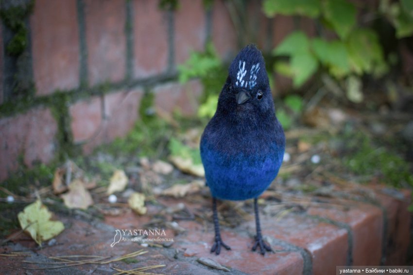 Синяя птица — Валяные игрушки из шерсти: сухое валяние (фото 5)