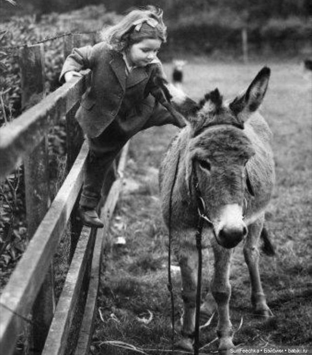 Ребята и зверята — Дети: красивые фото