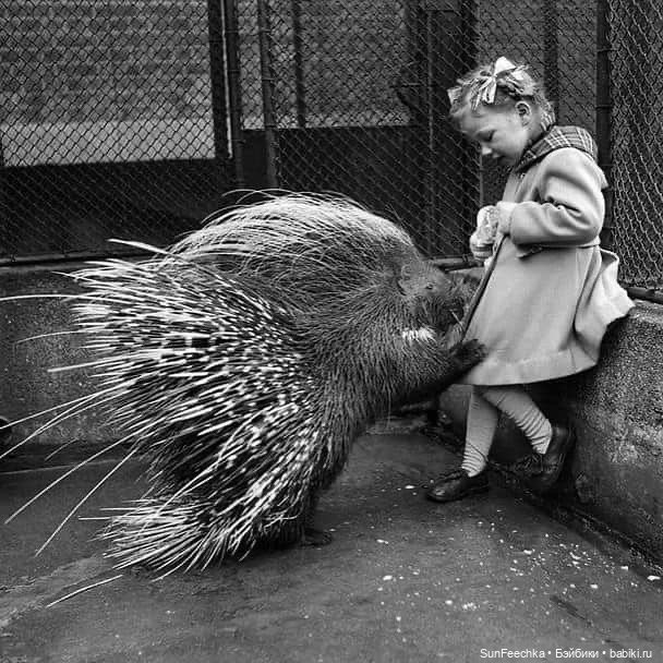 Ребята и зверята — Дети: красивые фото