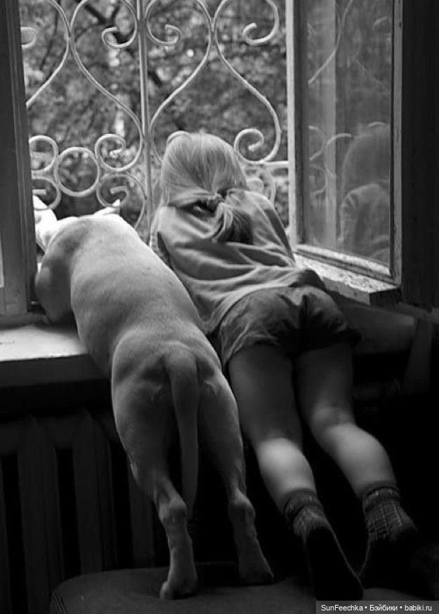 Ребята и зверята — Дети: красивые фото