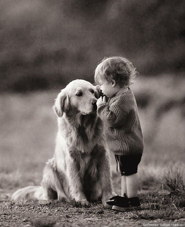 Ребята и зверята — Дети: красивые фото