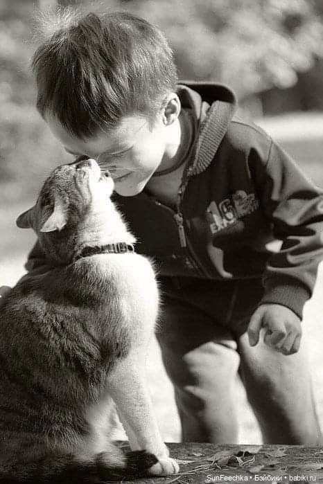 Ребята и зверята — Дети: красивые фото