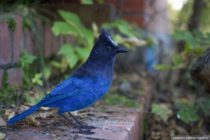 Синяя птица — Валяные игрушки из шерсти: сухое валяние (фото 3)