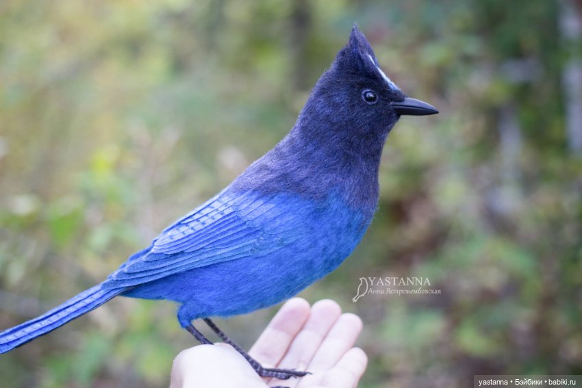 Синяя птица — Валяные игрушки из шерсти: сухое валяние (фото 9)