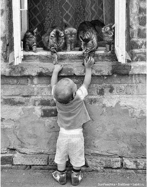 Ребята и зверята — Дети: красивые фото