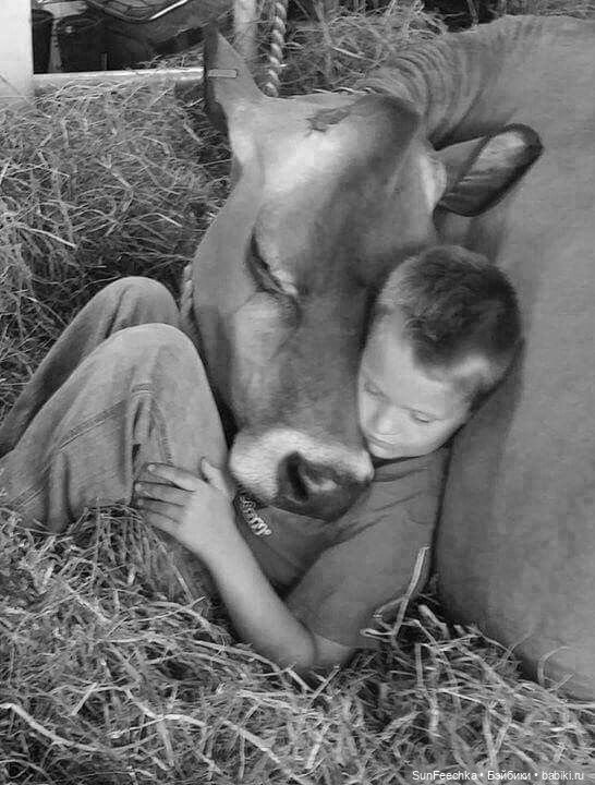 Ребята и зверята — Дети: красивые фото